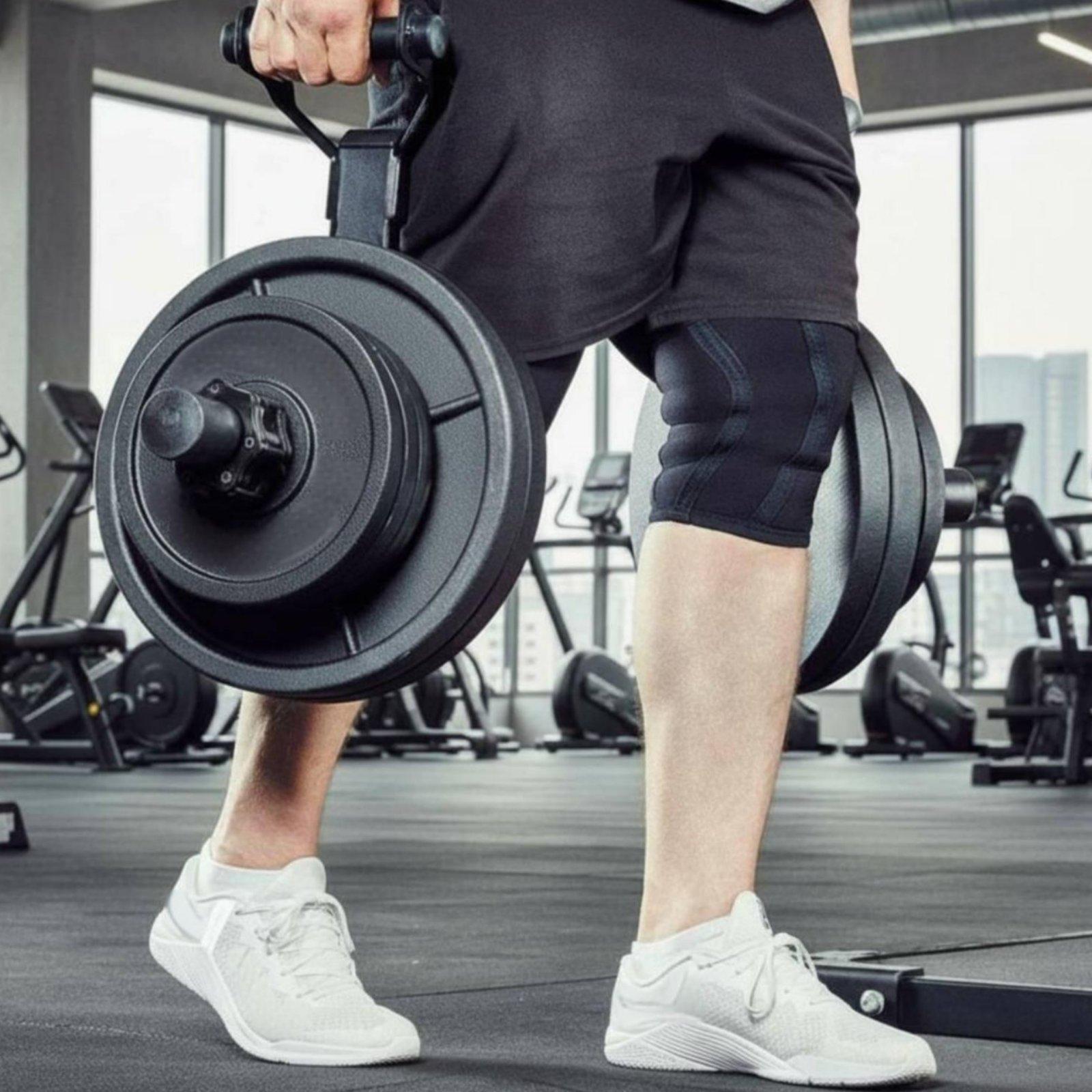 ชั้นวางจัดระเบียบแผ่นน้ำหนักบา - Home Gym Equipment บทวิจารณ์และราคา