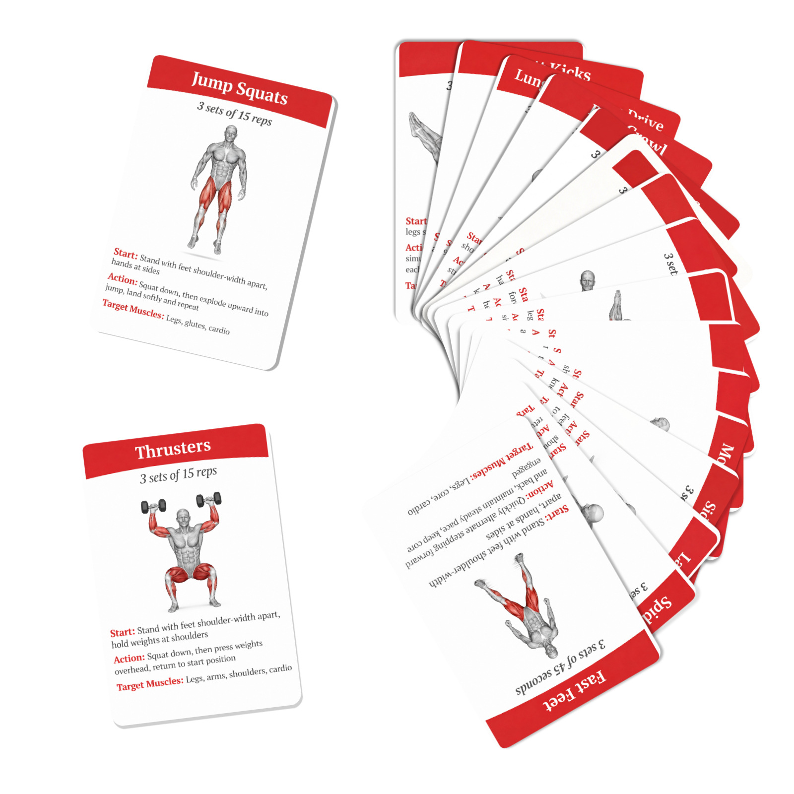 การ์ดแนะนำการออกกำลังกายเผาผลา - Home Gym Full Setup บทวิจารณ์และราคา